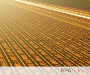 Report: Intelligent Virtual Agents and RPA Unite Front- and Back-Office Automation